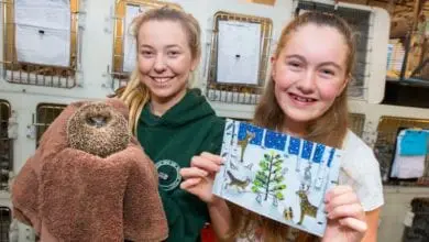 Wildlife charity gets a boost for Christmas