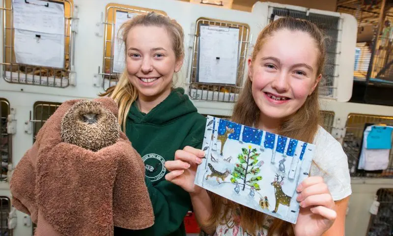 Wildlife charity gets a boost for Christmas