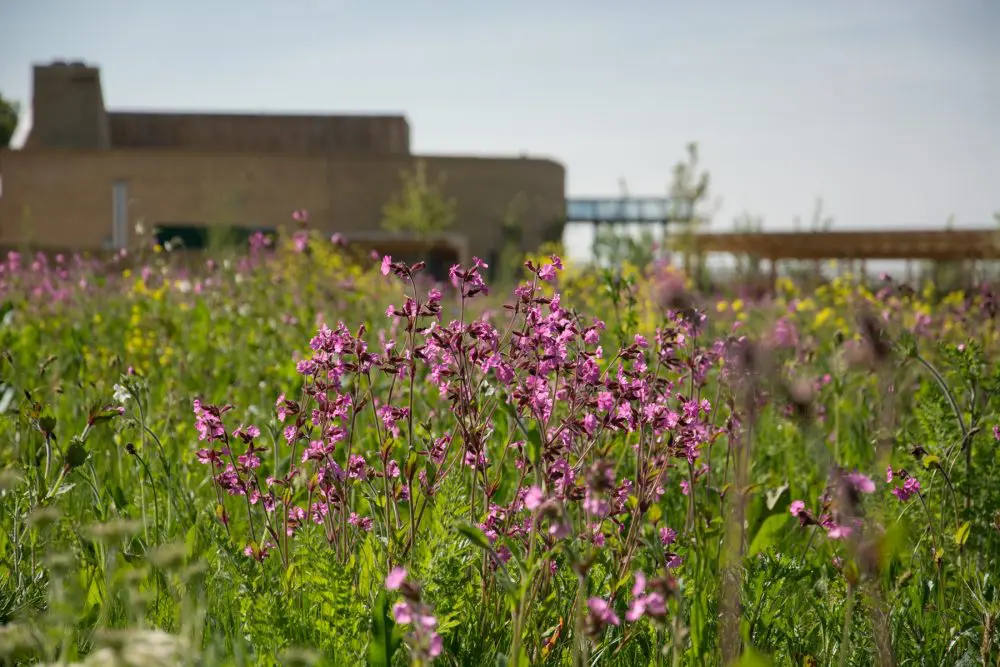 Havant crematorium’s wildlife initiative hailed a success