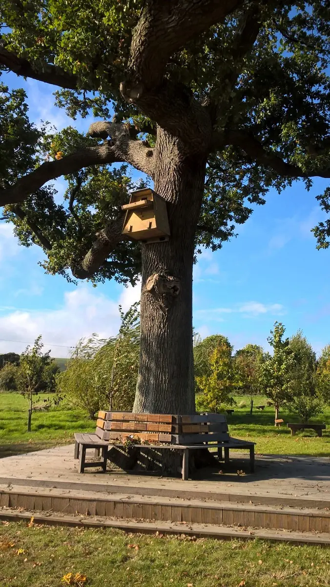 Clayton Wood Natural Burial Ground marks 10 years of countryside conservation
