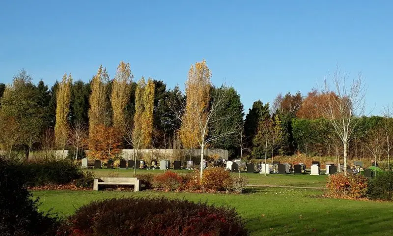 Council to host local bereavement support and advice event