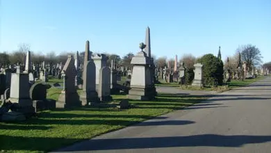 Liverpool city council discuss proposal for larger adults