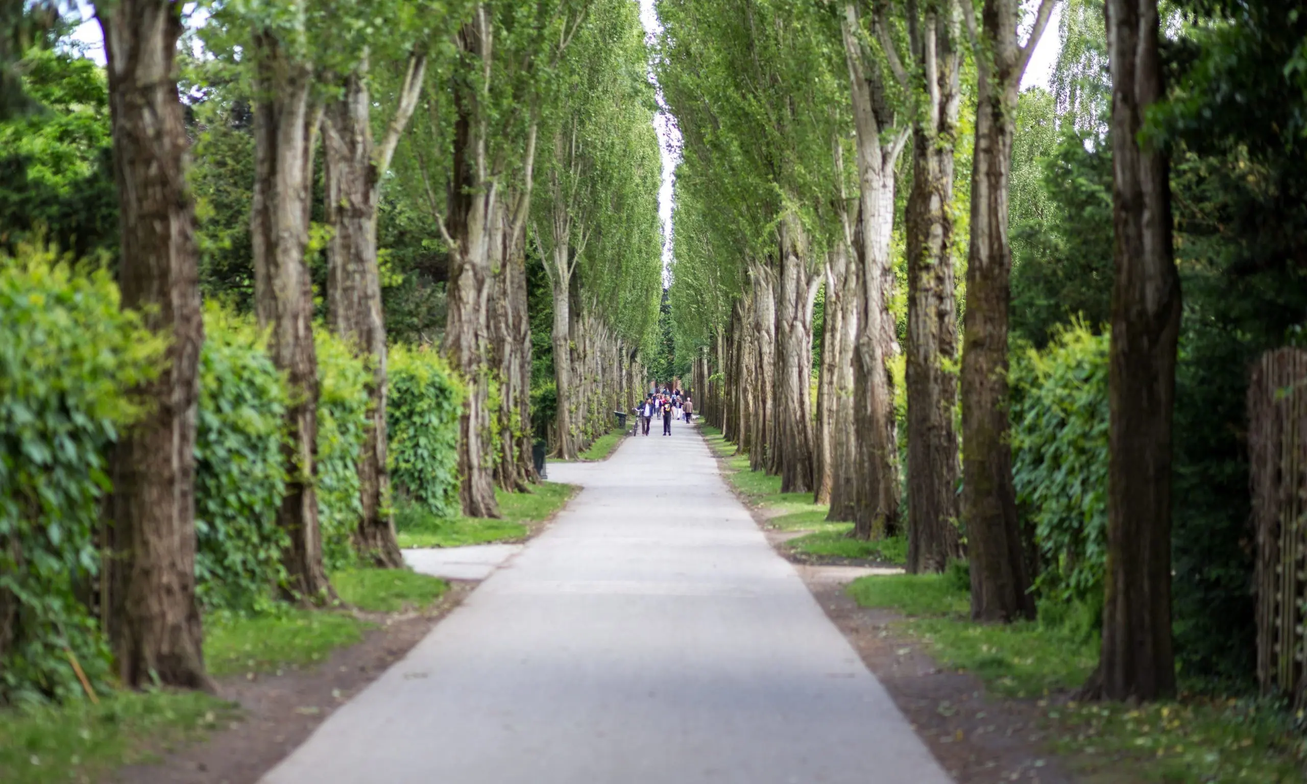 Cemeteries around the world: Assistens Kirkegård Cemetery