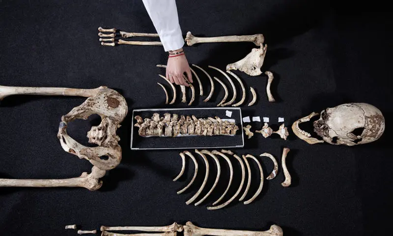 The face of the ‘Cheddar Man’