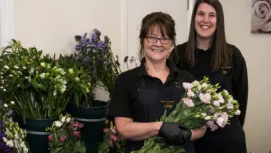 Brexit flower shortage impacts funeral directors