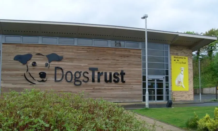 Dogs Trust scheme ensures dogs of the deceased are looked after