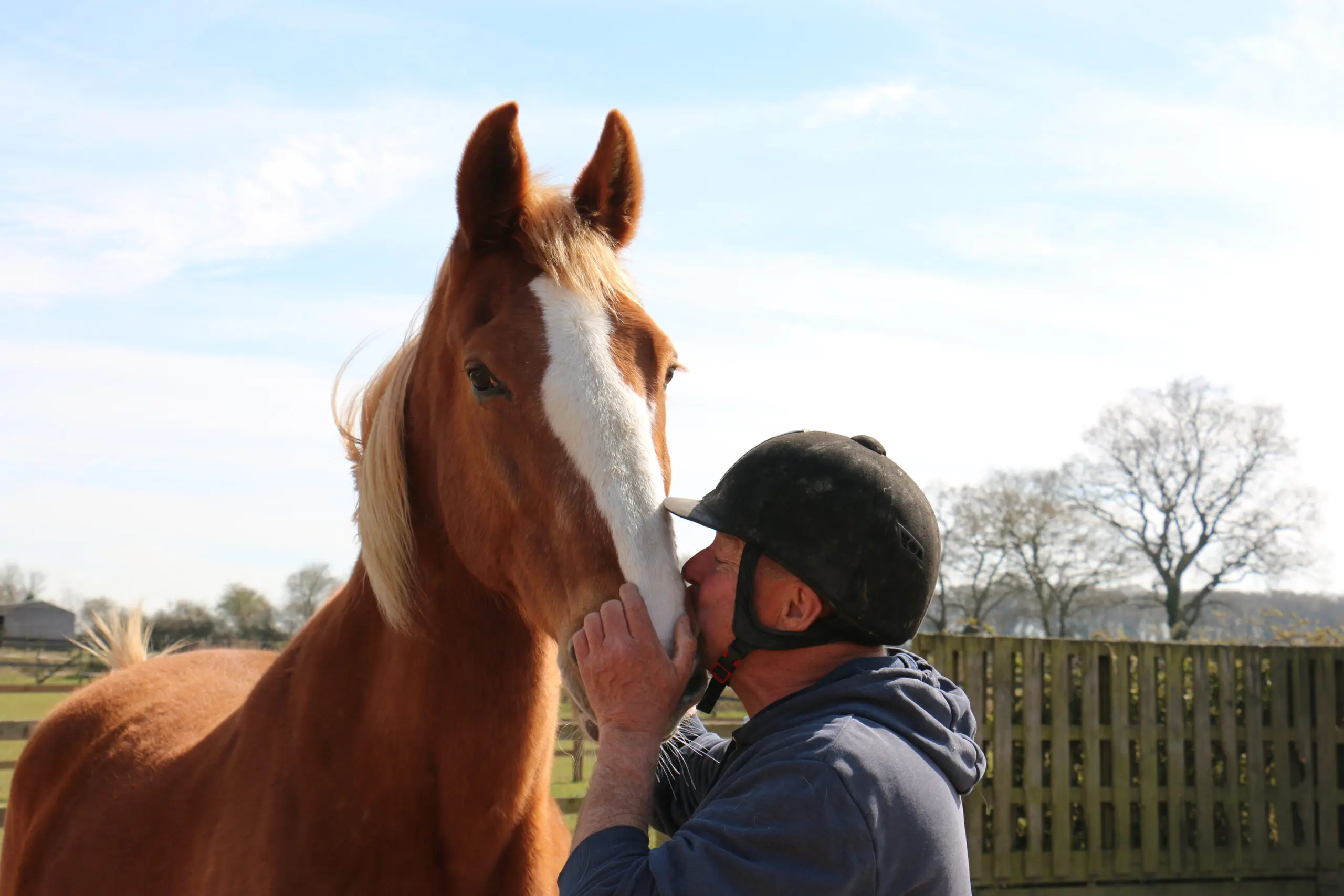 Will you remember the horses at Redwings Horse Sanctuary?