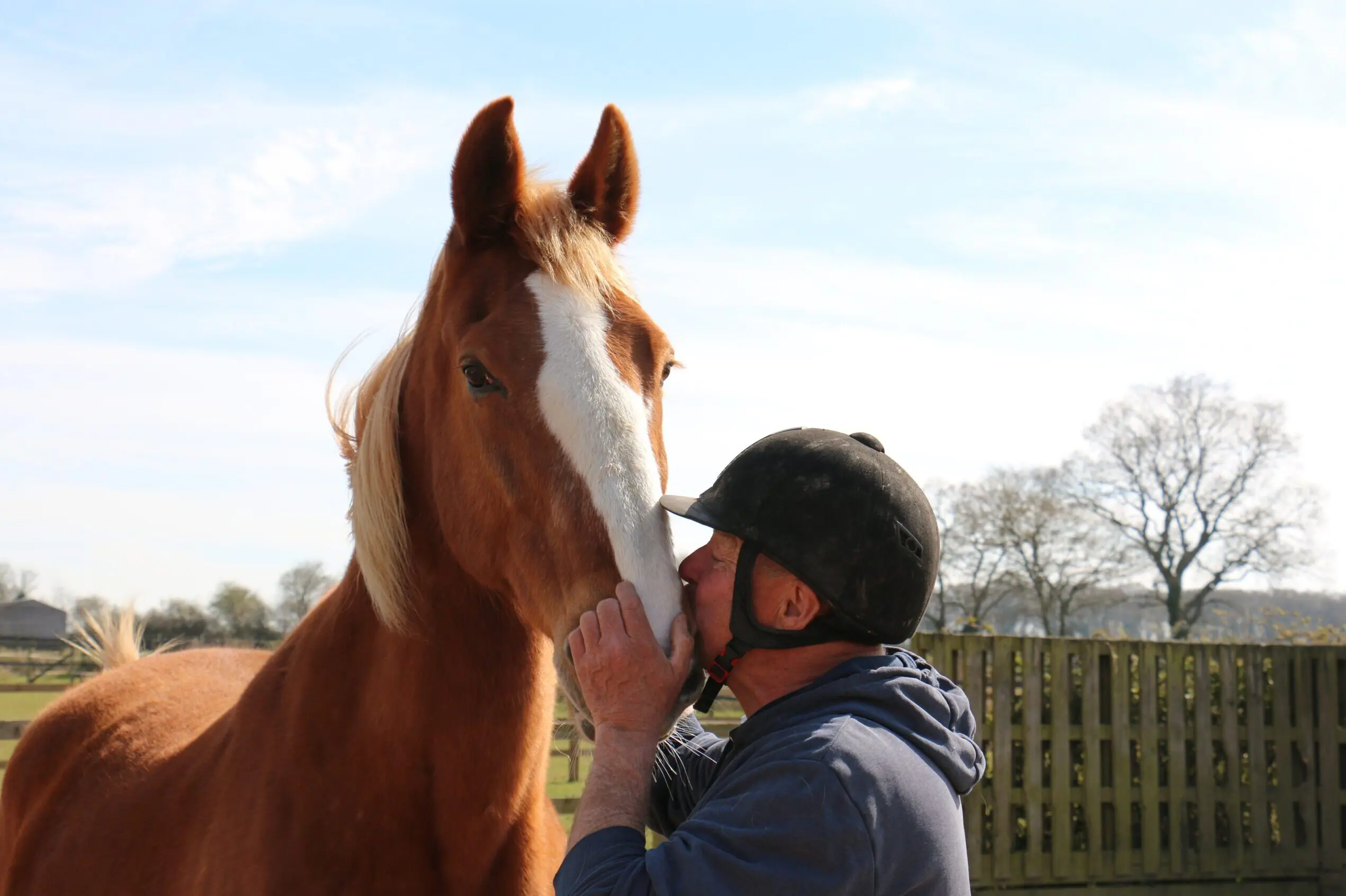 Will you remember the horses at Redwings Horse Sanctuary?