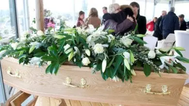 Dandelion Farewells celebrates 5th anniversary