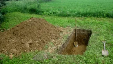 Funeral directors forget to dig woman’s grave