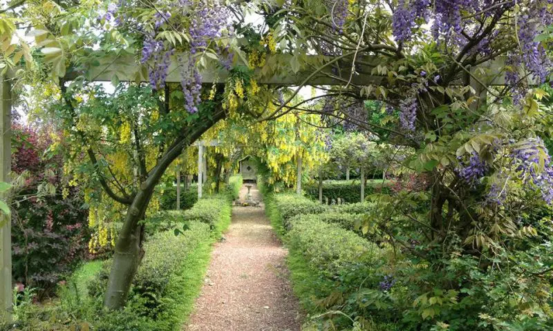 Resting Pets Crematorium celebrates 25 years