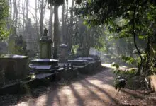 Revised Highgate Cemetery plans enter consultation