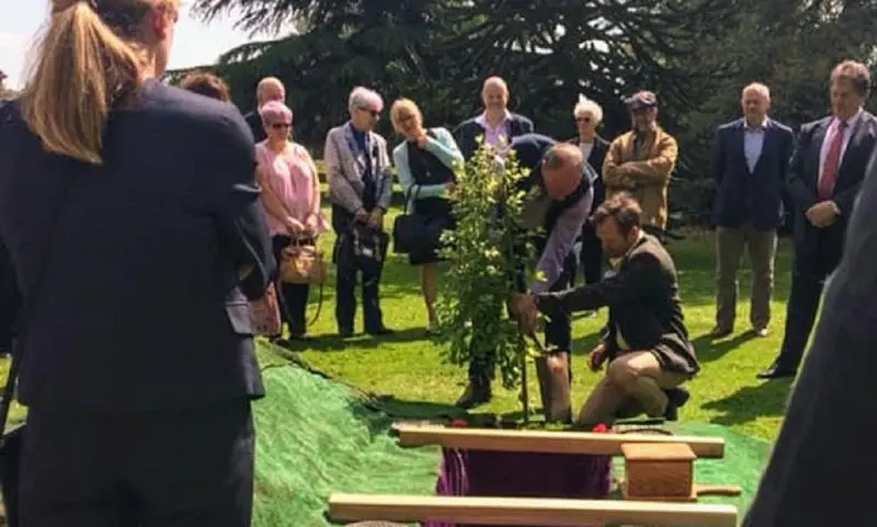 Natural Burial Company prepares for bereavement day
