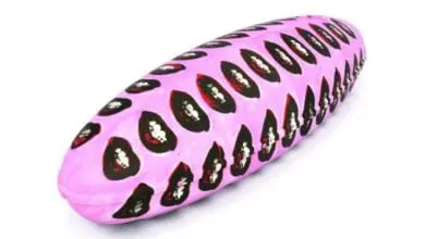 Coffin start-up uses 3D technology to tackle rising funeral costs