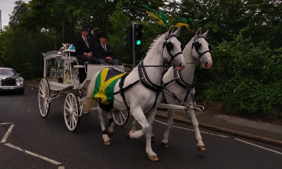 A.W. Lymn calls for outdoor funeral services restrictions review