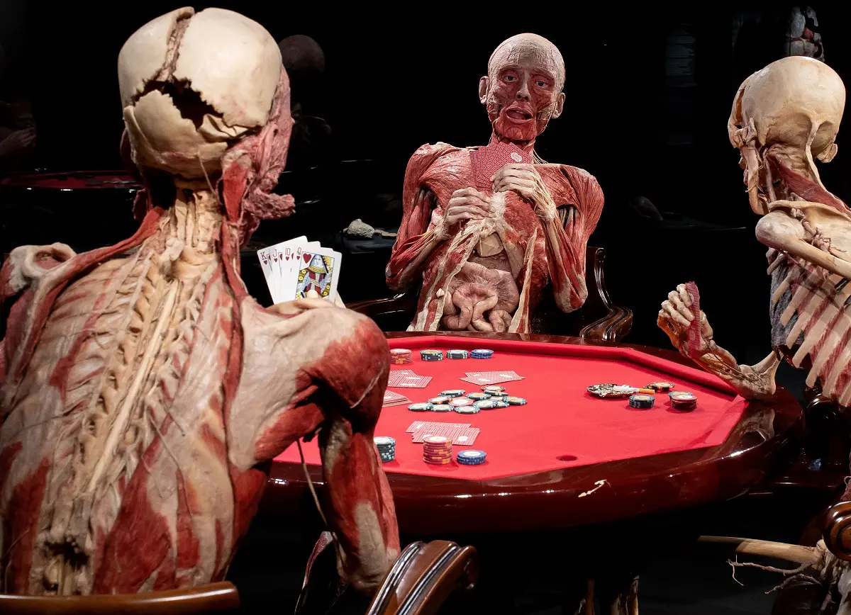 Body Worlds: Coming face to face with death