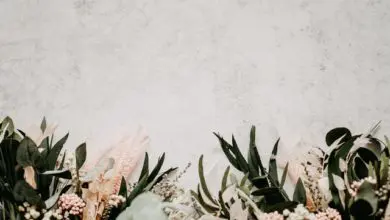 Cole Funeral Directors nominated for Business Growth Awards