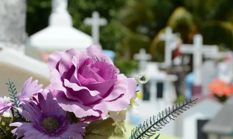 Majority favour cremation, says new poll