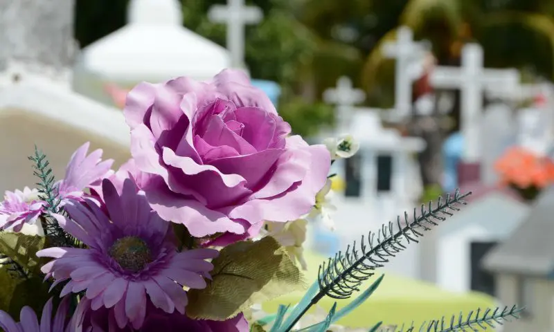 Dignity buys Co-op crematoriums in £43m deal