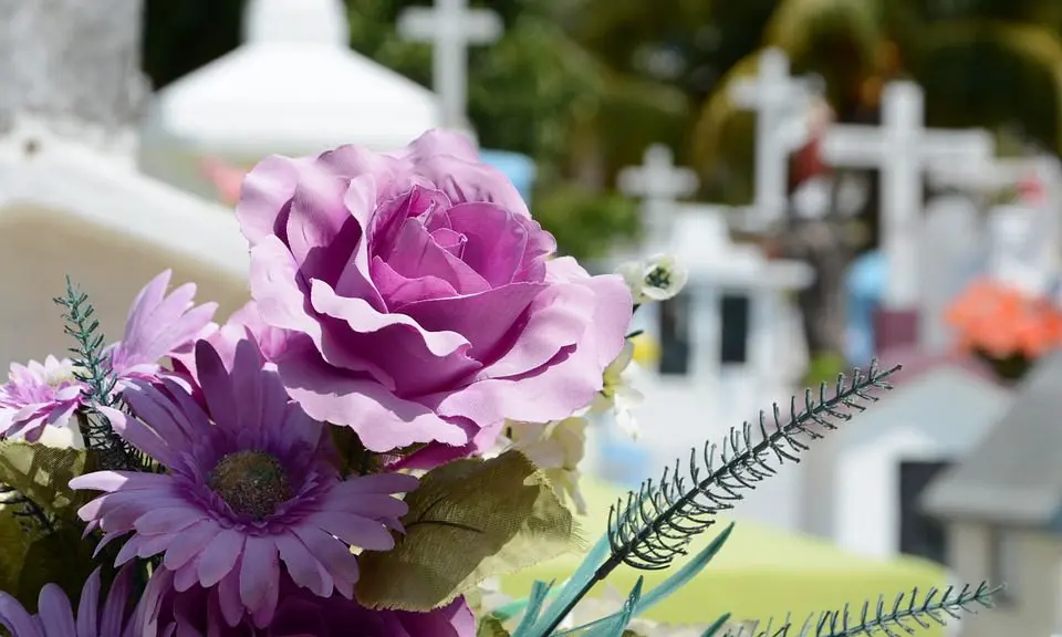 Co-op expresses concern to prime minister over Children’s Funeral Fund