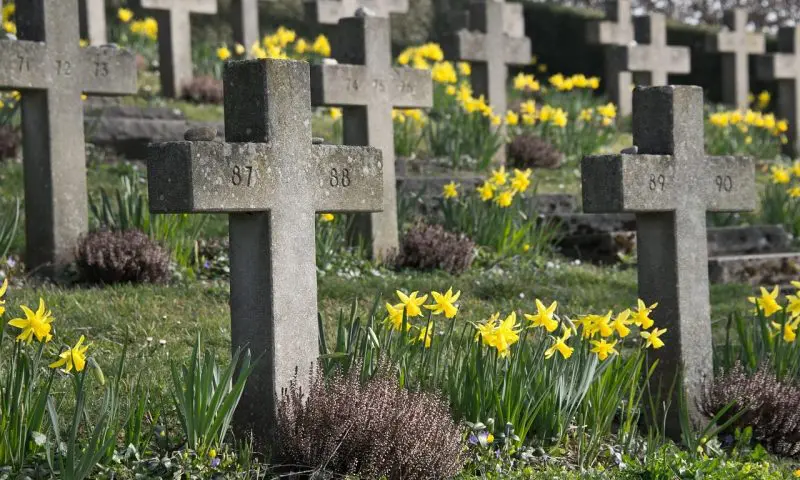 Most common day to die revealed as 6 January