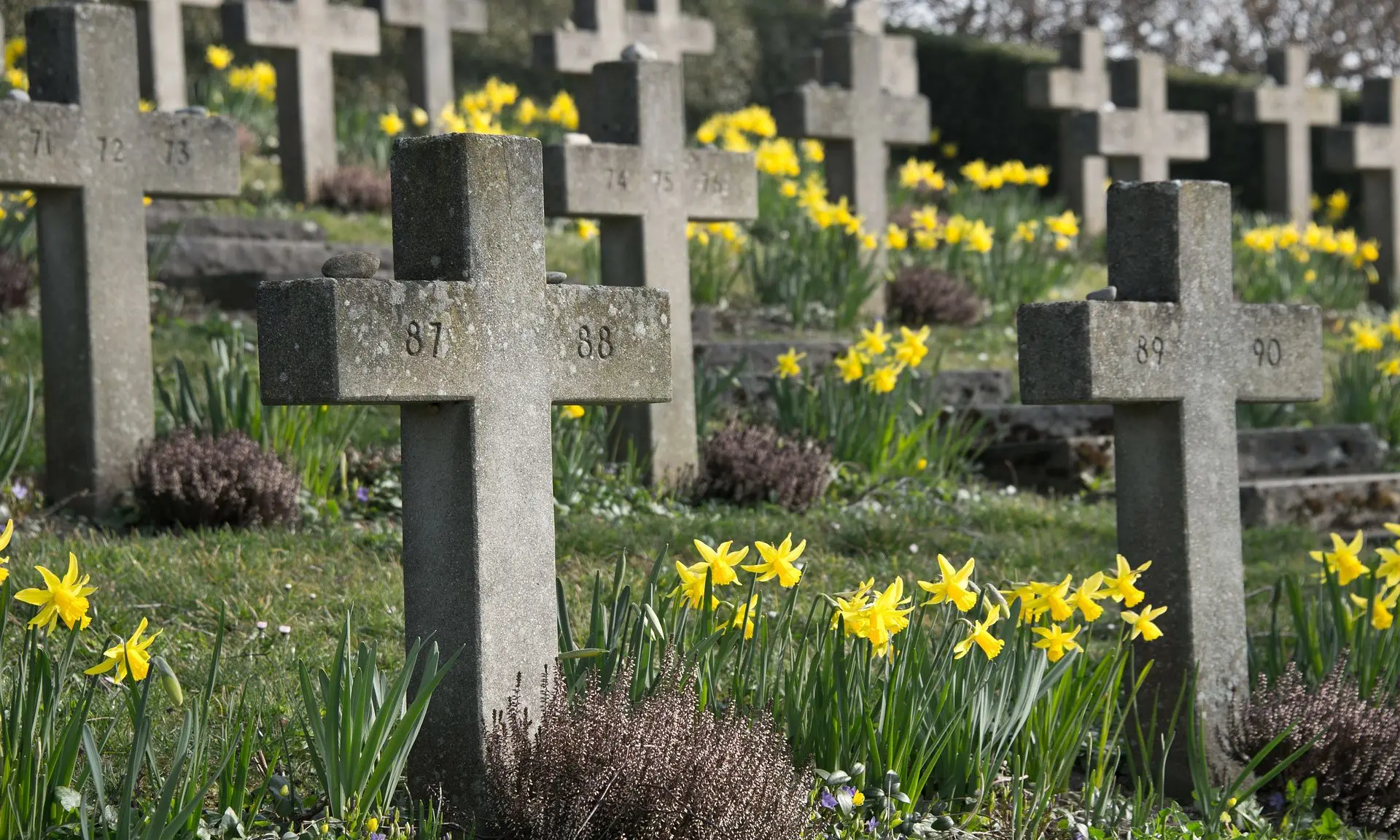 Aberdeenshire Council raises burial fees by 10%