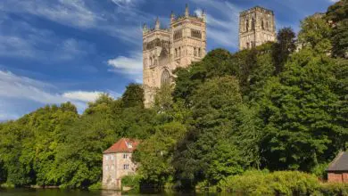 NAFD Summer School returns to Durham University 