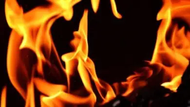 Crematorium set ablaze by ‘overly obese’ body
