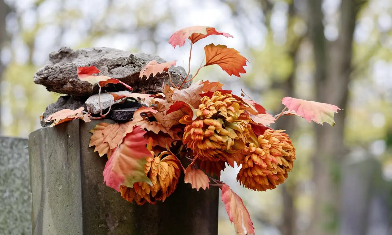 South Gloucestershire council prepares measures to maintain funeral services