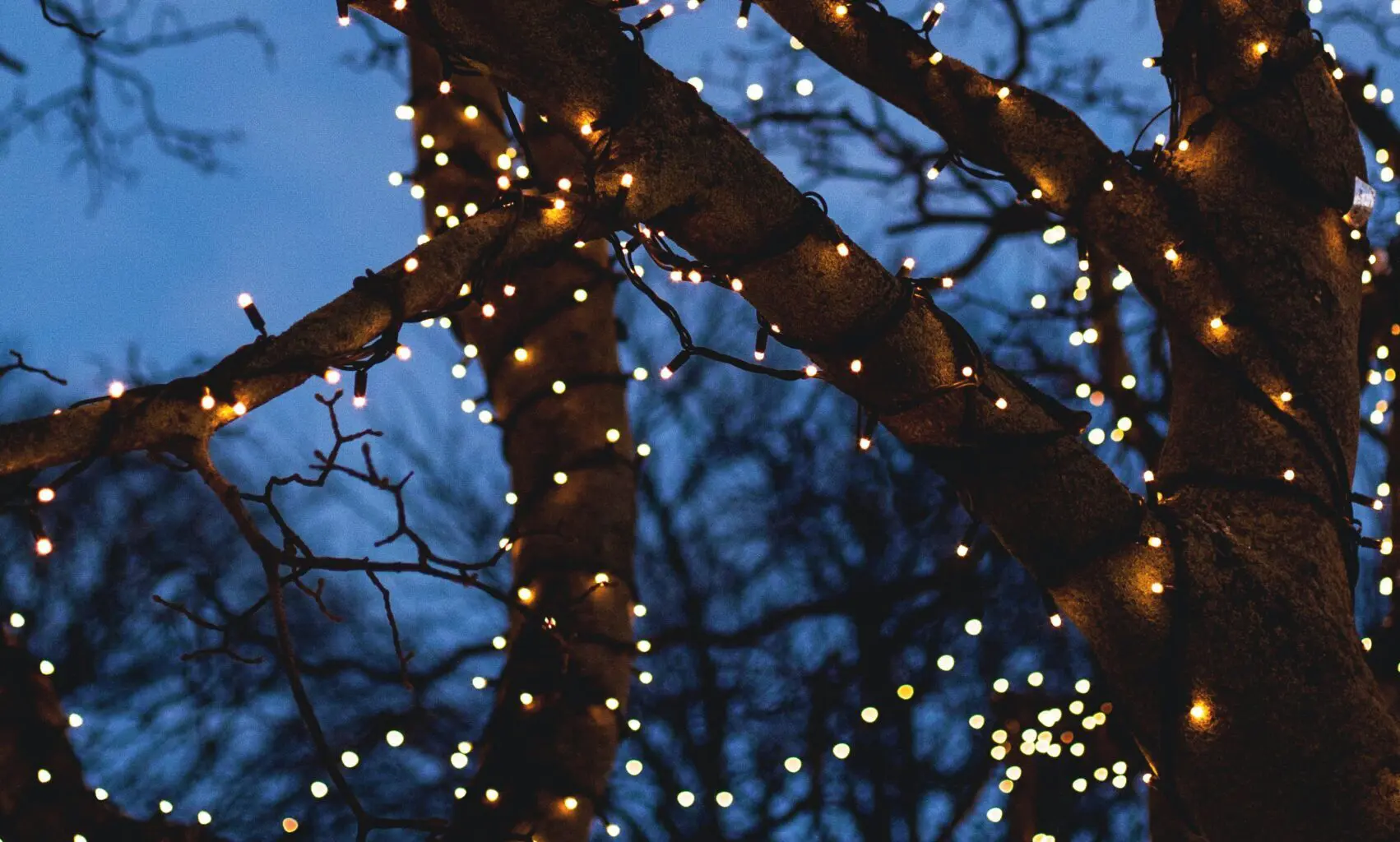 Coles Funeral Directors to sponsor Llandaff Xmas lights switch-on