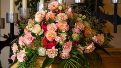 Dignity’s profits hit by cheaper funerals