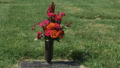 Cremation