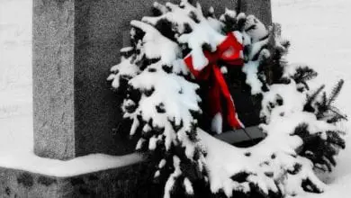 Death at Christmas