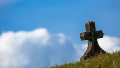 Government agrees better support for bereaved
