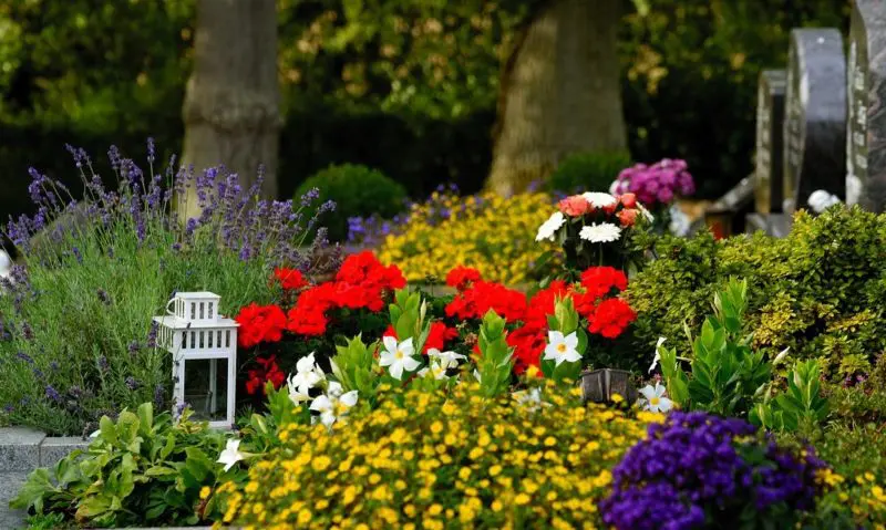 SAIF calls for regulation of profession