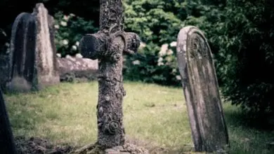 Co-op slashes funeral prices to ‘beat’ competition