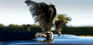 Give way to The Plume