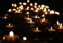 Vegan Society launches online wall for tributes to loved ones