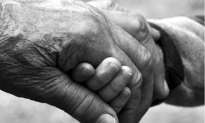 SAIF launches new end of life campaign