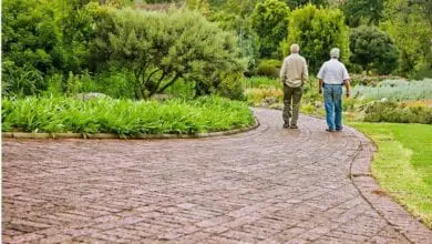 Dying Matters
