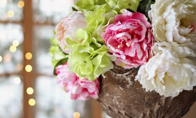 ‘Cremation costs are a postcode lottery’, claims new report