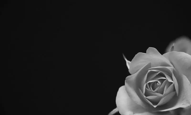 ONS releases age-standardised mortality rates for 2015