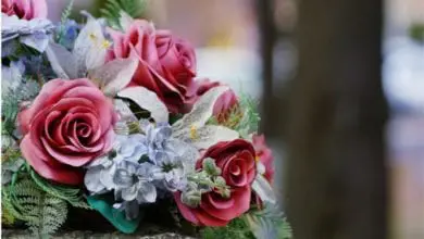 Funerals