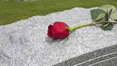 Bill to modernise the Scottish burial and cremation sector ‘lacks ambition’