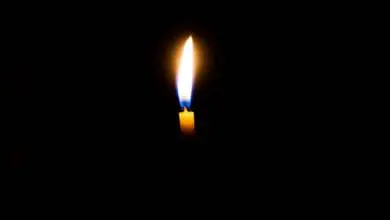 Leading funeral organisations offer advice on limiting attendance at funerals