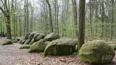 Natural burial microchip firm ASSETtrac celebrates 20 years
