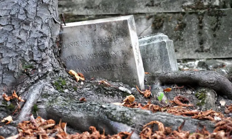 80 percent of people want to see funeral directors regulated