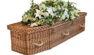Tributes extends English willow range