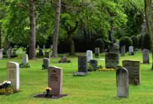 Council seeks public views on cemetery regulations