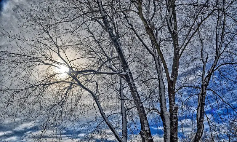 The People’s Awards name best natural burial grounds